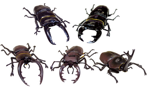 stag beetle toy